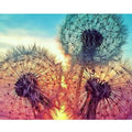 DIY Dandelions Painting By Numbers Art - Creative Serenity