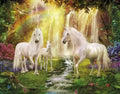DIY Unicorns Paint By Numbers - Creative Serenity