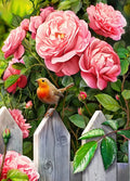 DIY Robin & Roses 5D Diamond Art Painting 30x40cm - Creative Serenity