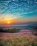DIY Landscape 5D Diamond Art Painting 30x40cm - Creative Serenity
