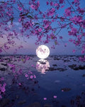 DIY Moon 5D Diamond Art Painting 30x40cm - Creative Serenity