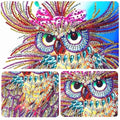 5D Owl DIY Special Shaped Diamond Art Painting 25x25cm - Creative Serenity