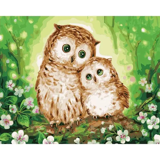 DIY Owls Paint by Numbers On Canvas - Creative Serenity