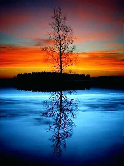 DIY Tree Acrylic Painting By Numbers - Creative Serenity