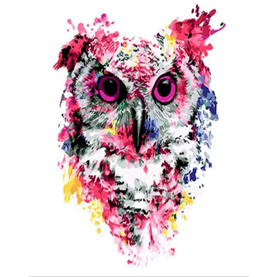 DIY Owl Acrylic Painting By Numbers Animals - Creative Serenity