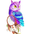 DIY Owl Acrylic Painting By Numbers Animals - Creative Serenity
