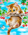 DIY Kitten 5D Diamond Art Painting 30x40cm - Creative Serenity