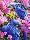 DIY Parrot 5D Diamond Art Painting 30x40cm - Creative Serenity