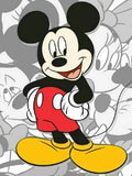 DIY Mickey Mouse Painting By Numbers Oil Art - Creative Serenity