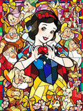 5D Snow White Diamond Mosaic Diamond Art Princess 30x40cm - Creative Serenity