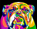 DIY Rainbow British Bulldog Diamond Art Painting Animals - Creative Serenity