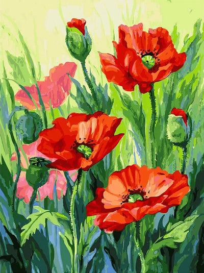 DIY Poppies Flowers 5D Diamond Art Painting 30x40cm - Creative Serenity
