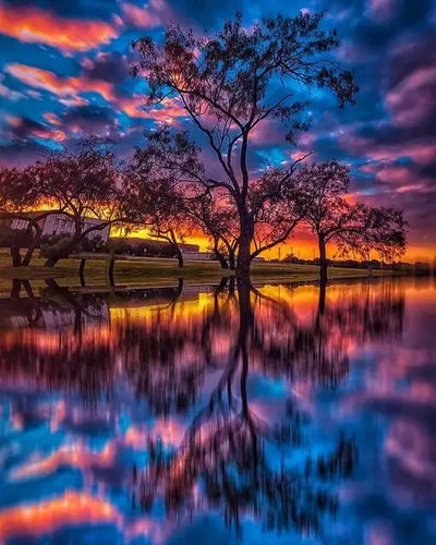 DIY Tree 5D Diamond Art Painting 30x40cm - Creative Serenity