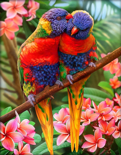 DIY Loriini Bird 5D Diamond Art Painting 30x40cm - Creative Serenity