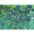 5D Irises Van Gogh Diamond Art Painting - Creative Serenity