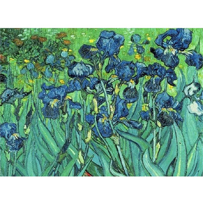 5D Irises Van Gogh Diamond Art Painting - Creative Serenity