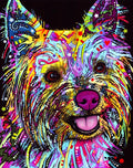 DIY Rainbow Yorkie Dog Diamond Art Painting Animals - Creative Serenity