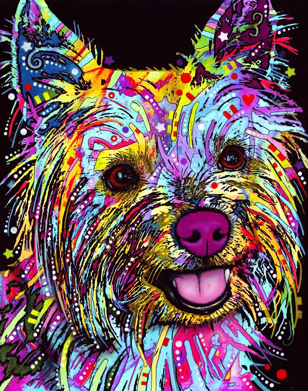 DIY Rainbow Yorkie Dog Diamond Art Painting Animals - Creative Serenity