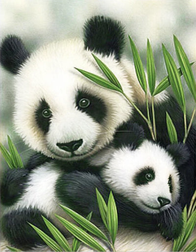 DIY Panda Bears 5D Diamond Art Painting 30x40cm - Creative Serenity
