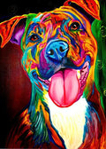 DIY Rainbow Pitbull Dog Diamond Art Painting Animals - Creative Serenity