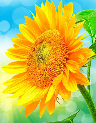 DIY Flowers 5D Diamond Art Painting 30x40cm - Creative Serenity